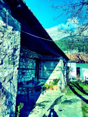 παραδοσιακο πετρινο εξοχικο με εσωτερικο τζακι